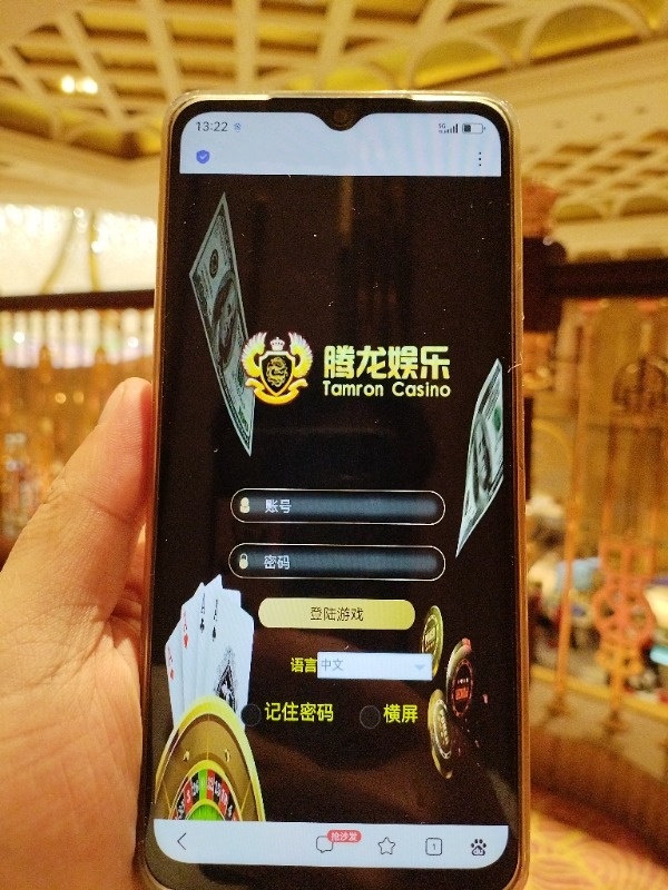钢丝绳电动葫芦